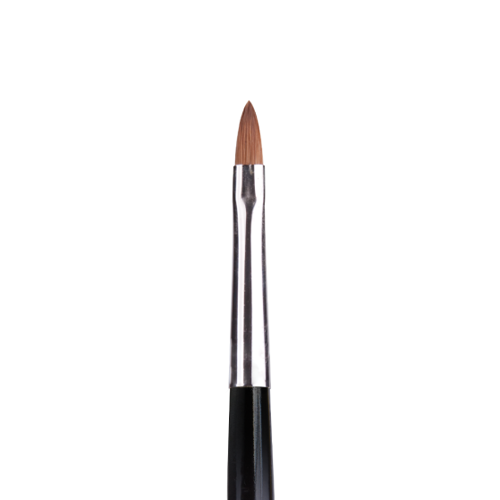 Premium Brush Oval 4